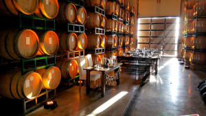 Danza Del Sol's Barrel room lit by csquaredevents.com